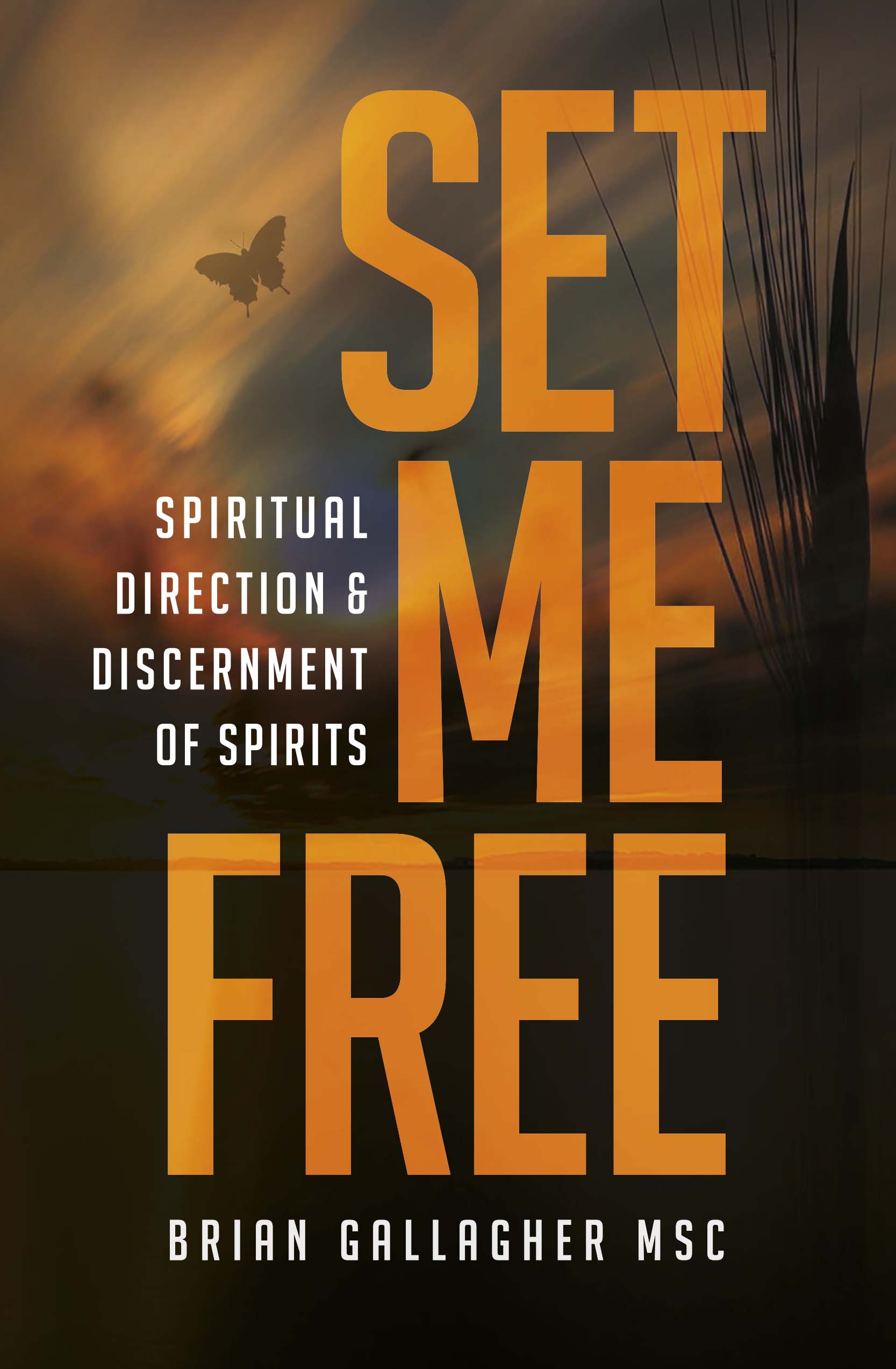 Set Me Free  Spiritual Direction & Discernment of Spirits / Brian Gallagher